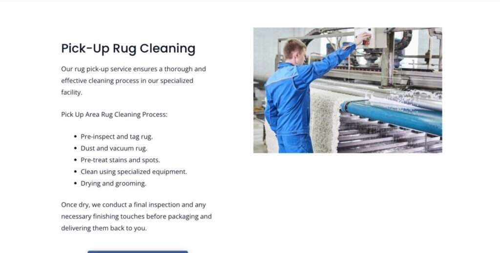 LI Rug Cleaning e1740243953677 | Zero B.S. Marketing